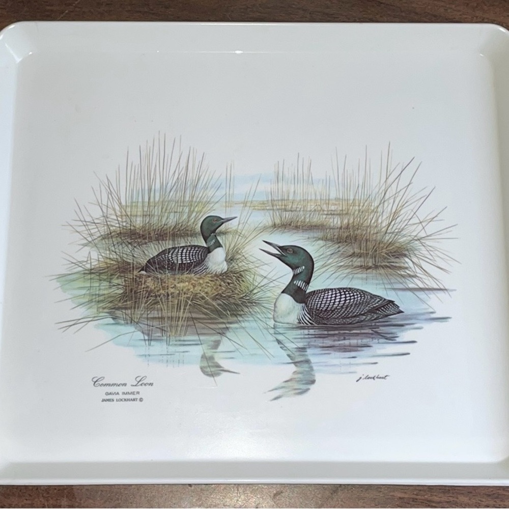 Serving Tray Decorative Loon Bird Plastic Design Imports LTD Italy